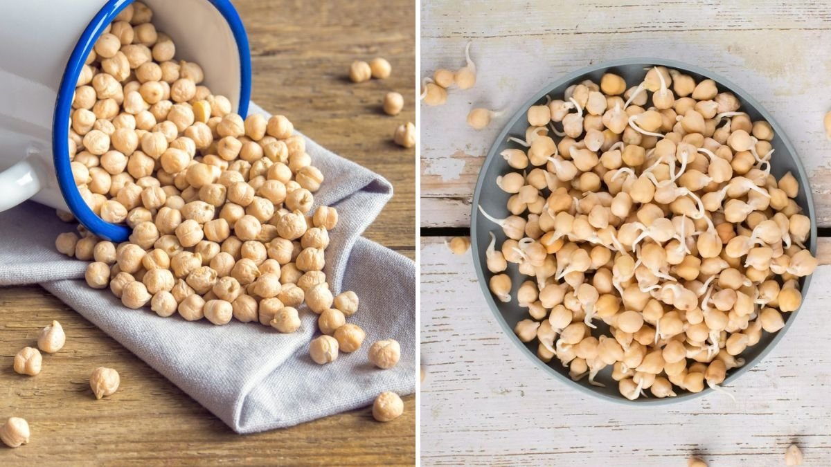 How to Sprout Chickpeas (Garbanzo Beans) at Home: A Step-by-Step Guide to Nutritious Sprouts